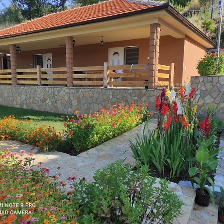 Vila Vera Borsko Jezero מראה חיצוני תמונה