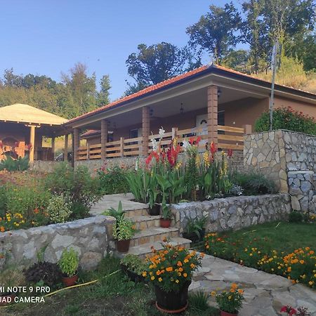 Vila Vera Borsko Jezero מראה חיצוני תמונה