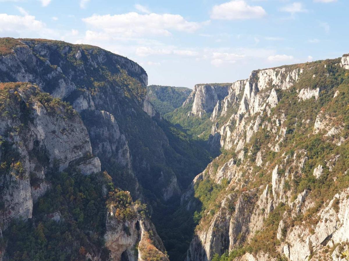 Vila Vera Borsko Jezero מראה חיצוני תמונה