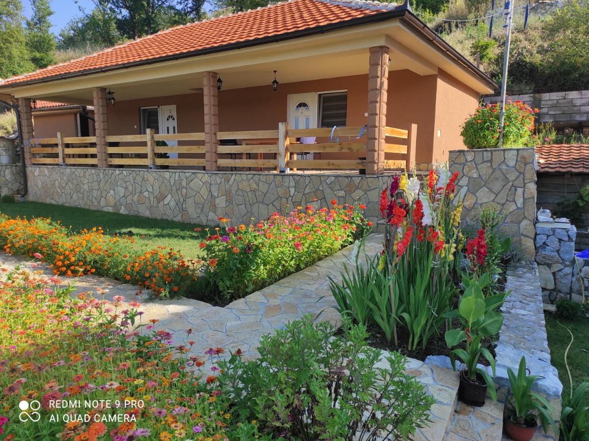 Vila Vera Borsko Jezero מראה חיצוני תמונה