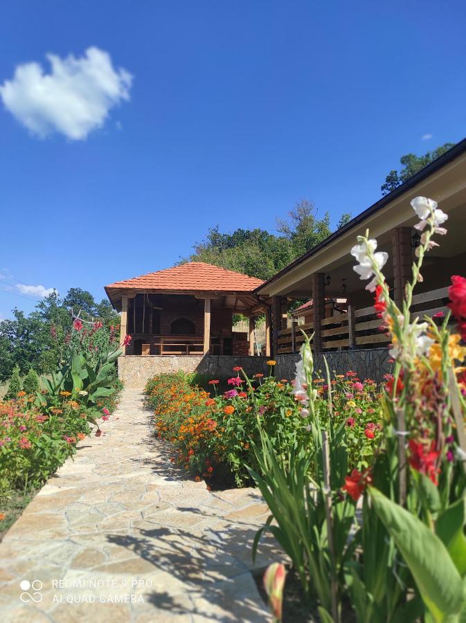 Vila Vera Borsko Jezero מראה חיצוני תמונה